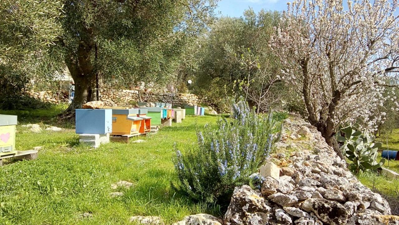 Vivere Ostuni Exteriér fotografie