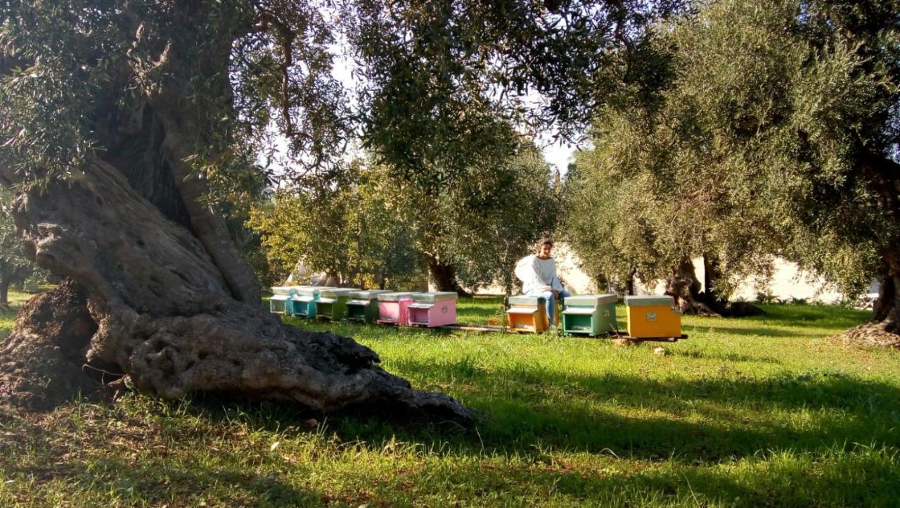 Vivere Ostuni Exteriér fotografie